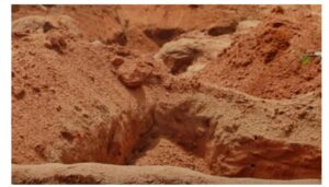 Seven shallow graves with human bones, skulls discovered in Kilifi