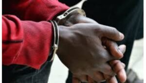 Church lay leader arrested over claims of sodomizing his son