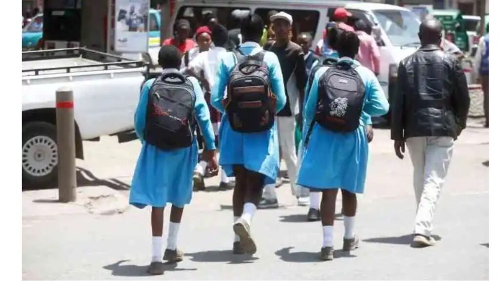 Government audit confirms ghost students, raises concerns on school funding