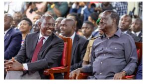 Ruto Senator downplays Raila's remarks on ODM fielding presidential candidate in 2027