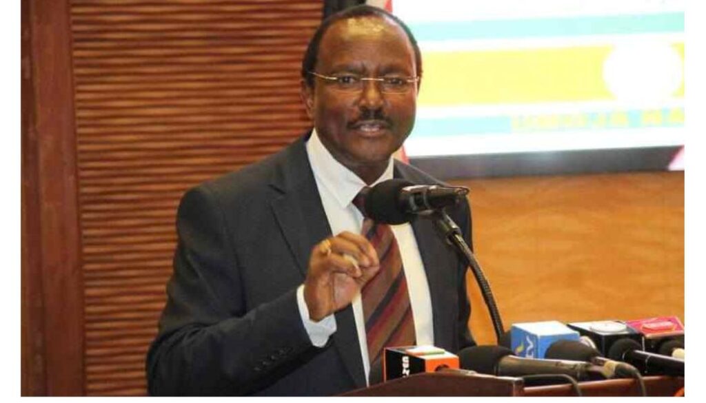 Kalonzo dismisses allegations of secret government talks as 'foolishness'