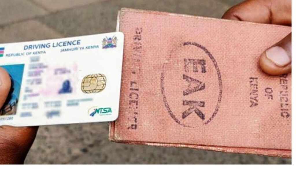 Road Safety Association wants suspension of driving licenses acquired in last 6 months