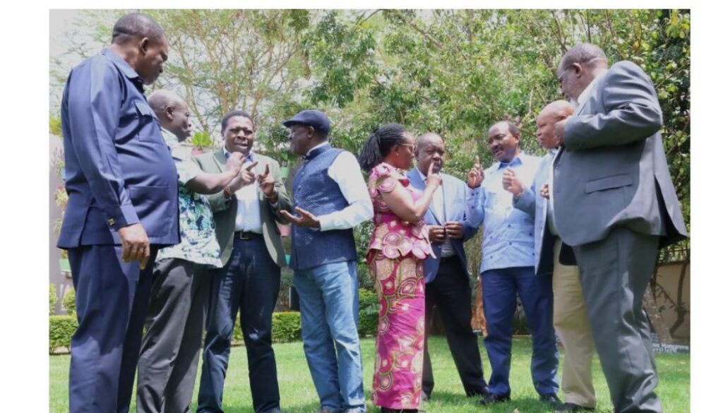 United Opposition set to unveil name, symbol amid fresh infighting over Kituyi appointment