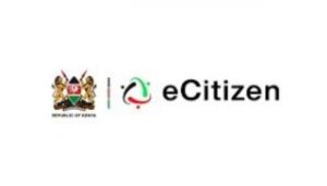 Kenyans flag extra Ksh100 charge on eCitizen when paying for services.