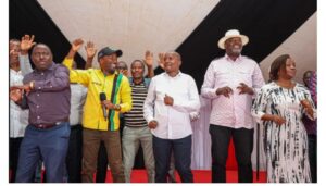 United Democratic Alliance (UDA) ticket in the upcoming Mbeere North Constituency by-election for agreeing to support one candidate.