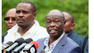 Democracy for Citizens Party (DCP) has withdrawn from the Mbeere North parliamentary by-election and endorsed the Democratic Party’s candidate in the November 27 polls.