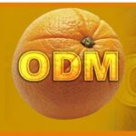 Orange Democratic Movement (ODM) has demanded that the National Treasury release Ksh12.6 billion owed to the party under the Political Parties Fund.