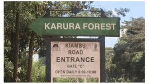 EACC recovers 17-acre Karura Forest land worth Ksh 2.8 billion