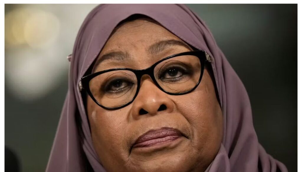 European Parliament flags Tanzania elections as fraudulent