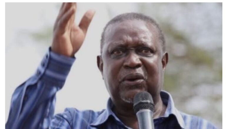 Oburu Oginga appointed acting ODM Party leader