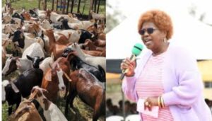 Auctioneers raid MP Jane Kihara home and seize car, goats