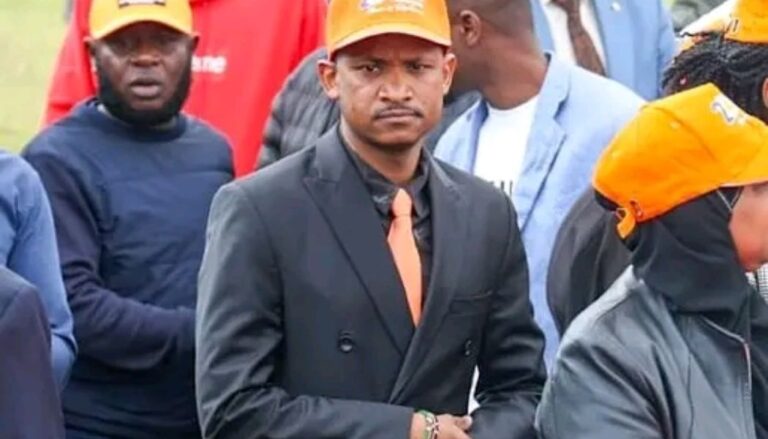 Embakasi East MP, ODM's Babu Owino, has raised concerns over alleged plans to attack him before Raila's burial on Sunday.
