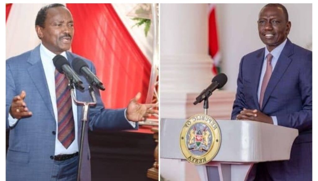 Senator Samson Cherargei has claimed that Wiper leader Kalonzo Musyoka is likely to form a political alliance with President William Ruto