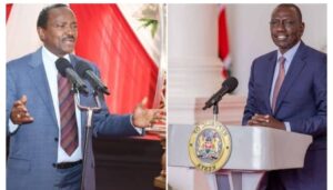 Senator Samson Cherargei has claimed that Wiper leader Kalonzo Musyoka is likely to form a political alliance with President William Ruto
