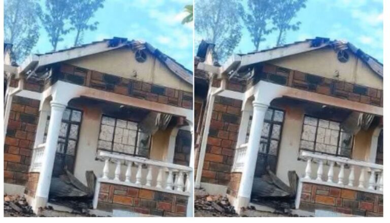 Rangwe MP Lilian Gogo has urged law enforcement to take swift action against those responsible for torching her residence