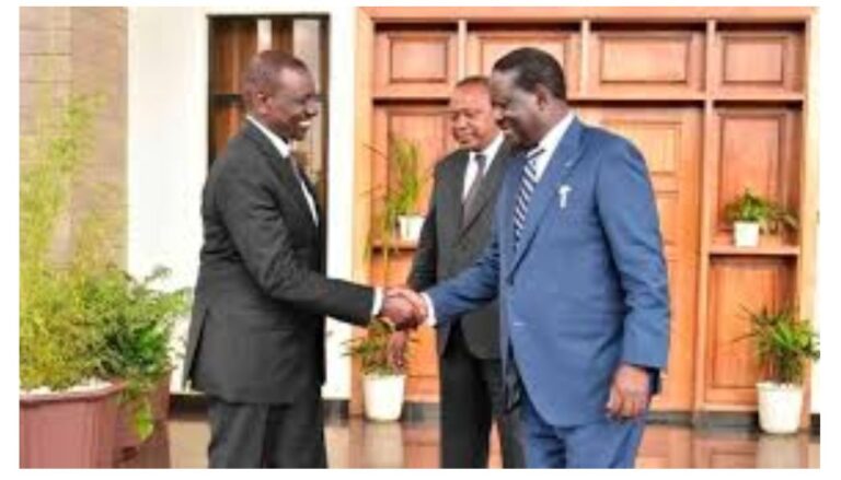 President William Ruto has revealed he is engaging leaders far and wide to bring in more goodwill and support to achieve his agenda.
