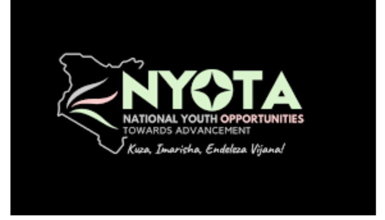 Nationwide interviews for 100,000 NYOTA grant beneficiaries to begin on Monday