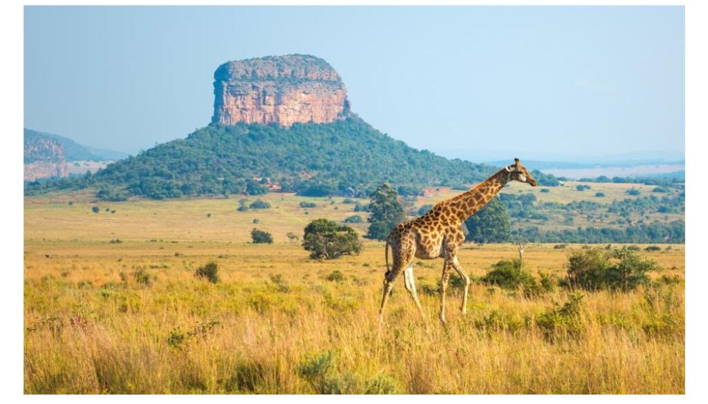 Kenya has been crowned the world’s friendliest country in the 2025 Condé Nast Traveller Readers’ Choice Awards, earning an outstanding score of 98.46.
