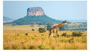 Kenya has been crowned the world’s friendliest country in the 2025 Condé Nast Traveller Readers’ Choice Awards, earning an outstanding score of 98.46.