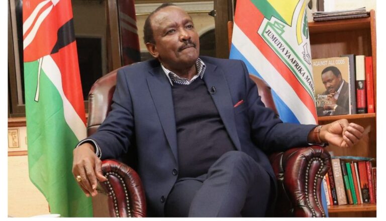 Nandi Senator Samson Cherargei has criticized Wiper Party leader Kalonzo Musyoka for missing the Mashujaa Day celebrations held in Kitui