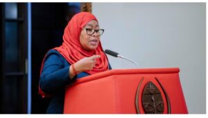 Samia Suluhu Hassan has said the protests that erupted in Tanzania after the October 29, 2025 general elections were instigated by people from a neighboring country