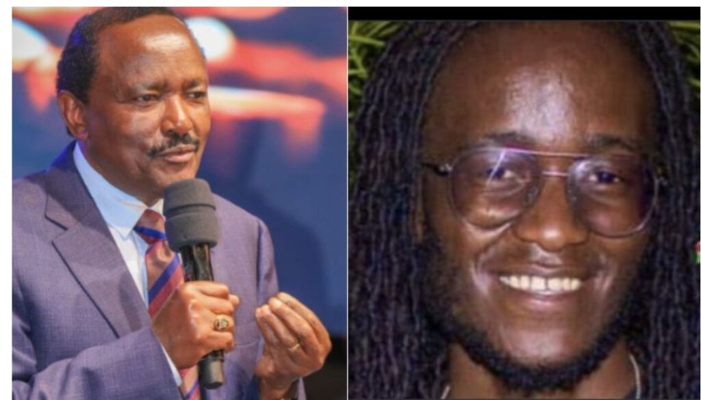 Kalonzo Musyoka has proposed that the Machakos County Youth Empowerment Program be renamed in honor of Rex Maasai and other young Kenyans