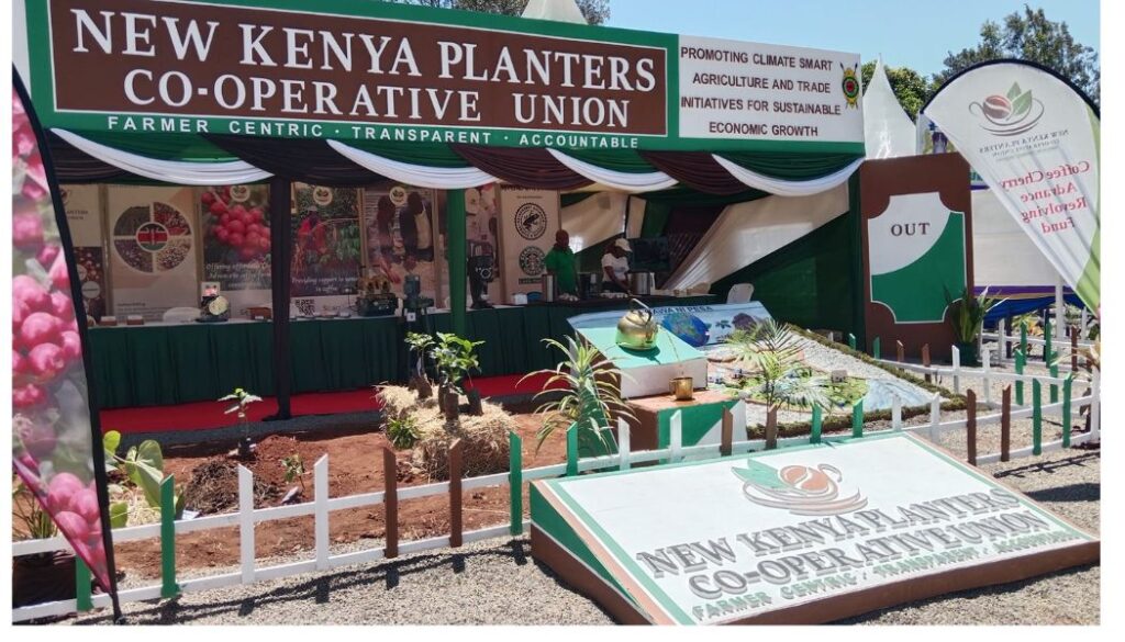 New Kenya Planters Cooperative Union PLC, in collaboration with the Ministry of Cooperatives and MSMEs Development, has launched a Coffee Extension Champions Training Program targeting 1,600 individuals