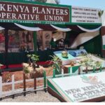 New Kenya Planters Cooperative Union PLC, in collaboration with the Ministry of Cooperatives and MSMEs Development, has launched a Coffee Extension Champions Training Program targeting 1,600 individuals