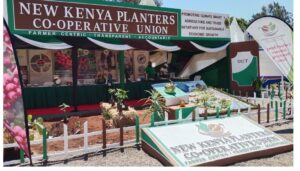 New Kenya Planters Cooperative Union PLC, in collaboration with the Ministry of Cooperatives and MSMEs Development, has launched a Coffee Extension Champions Training Program targeting 1,600 individuals