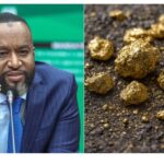 Mining Cabinet Secretary Hassan Joho has confirmed the discovery of gold deposits valued at Ksh680 billion in Kakamega County