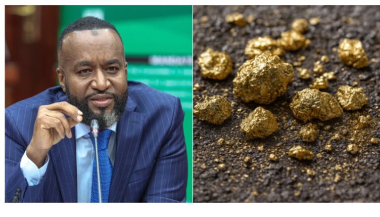 Mining Cabinet Secretary Hassan Joho has confirmed the discovery of gold deposits valued at Ksh680 billion in Kakamega County