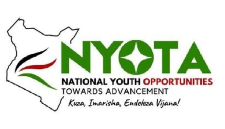 National Youth Opportunities Towards Advancement (NYOTA) Project has announced the schedule for the NYOTA Business Development Skills (BDS) training