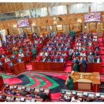 Chaos in Parliament as controversial Privatization Bill passed, MP Mbui suspended after attempt to grab mace.