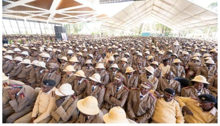 Ruto promises village elders monthly stipend with chiefs and assistant chiefs getting cars