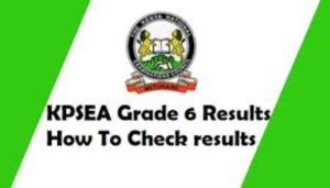 Grade nine learners who sat for the 2025 Kenya Junior School Education Assessment (KJSEA) examinations are now able to access their results through a Short Message Service (SMS)