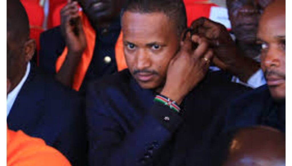 Embakasi East Member of Parliament Babu Owino now claims the organisers of Beryl Odinga’s funeral in Bondo, Siaya County, did not want him to address the mourners.