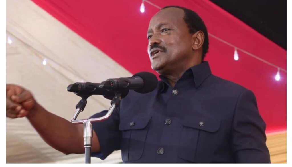 Kalonzo leads United Opposition's charge to privately prosecute IEBC bosses Over Mbeere, Malava election disputes.