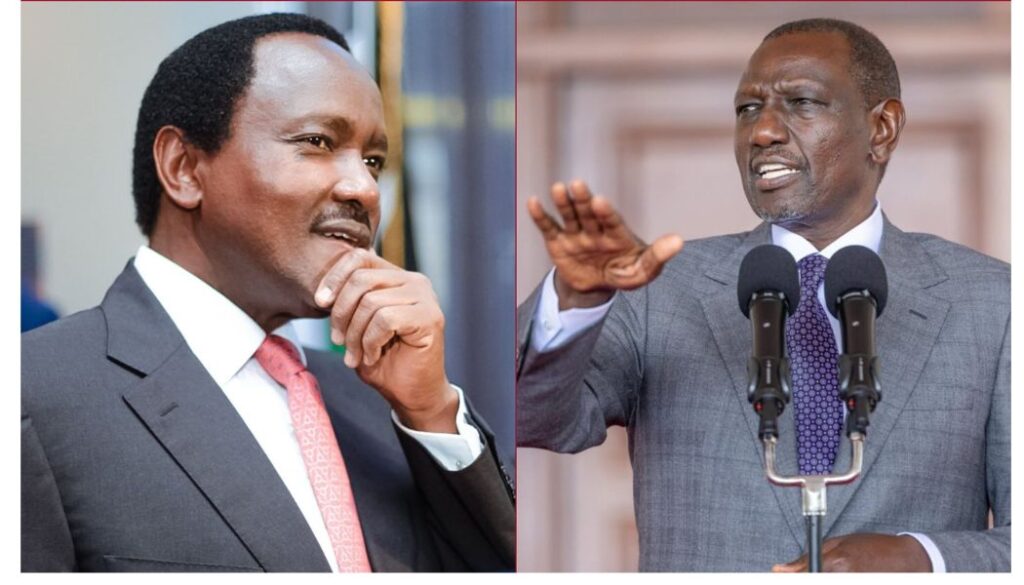 President William Ruto has taken on former vice president Kalonzo Musyoka for being a naysayer and leading the campaign against his agenda to transform Kenya