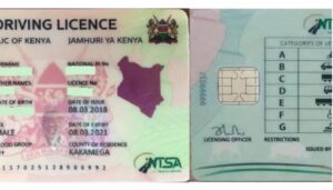 Cabinet approves second-generation smart driving licences to revolutionise road safety.