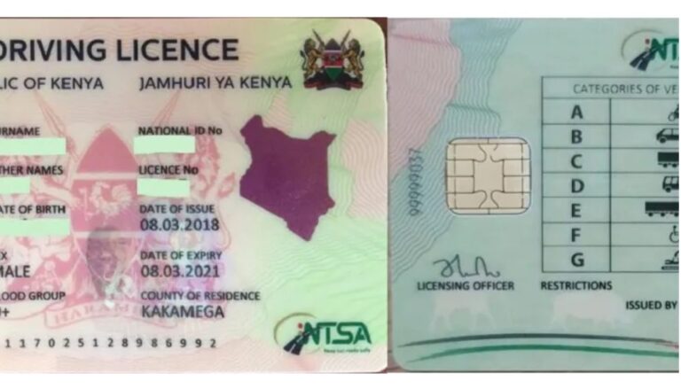 Cabinet approves second-generation smart driving licences to revolutionise road safety.