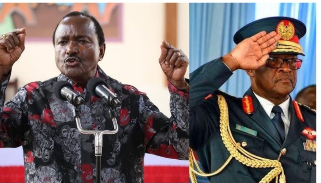 Wiper Party leader Kalonzo Musyoka has insisted that the death of former Chief of Defence Forces General Francis Ogolla was not accidental.