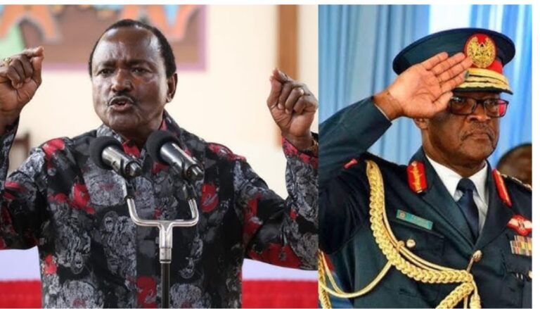 Wiper Party leader Kalonzo Musyoka has insisted that the death of former Chief of Defence Forces General Francis Ogolla was not accidental.