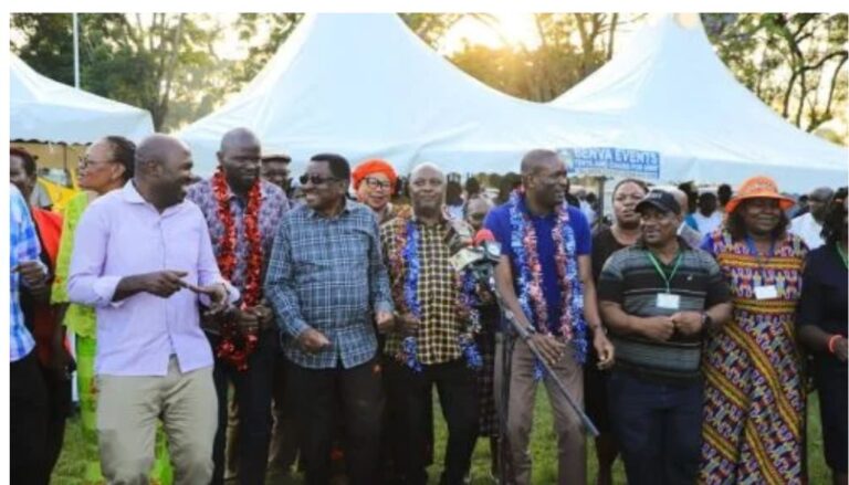 Orange Democratic Movement (ODM) top leadership have vowed to defend the party by all means from being auctioned to President William Ruto by brokers in the party.