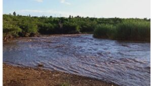 Body of missing boy retrieved from River Kuja in Migori