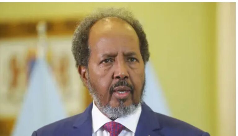 Israel recognition of Somaliland 'threat' to regional stability: Somali president