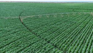 Kenya seals Ksh40B deal for Galana Kulalu Dam construction