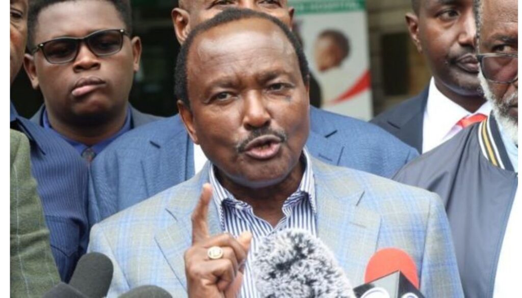 Wiper Party leader Kalonzo Musyoka has announced that the united opposition will unveil its 2027 presidential candidate in 2026.