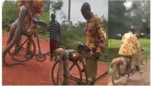 A man from Luoka village in Ugunja, who killed a python after it attacked and killed his dog, is set to receive compensation from the government.