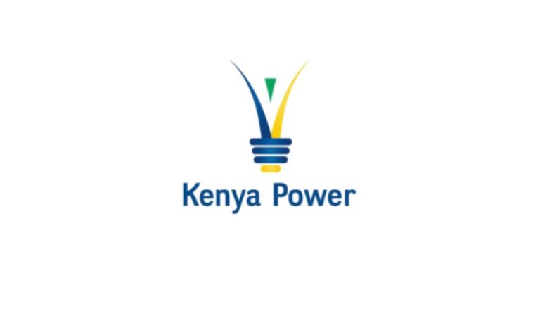384 Kenya Power employees forged payslips; internal audit finds
