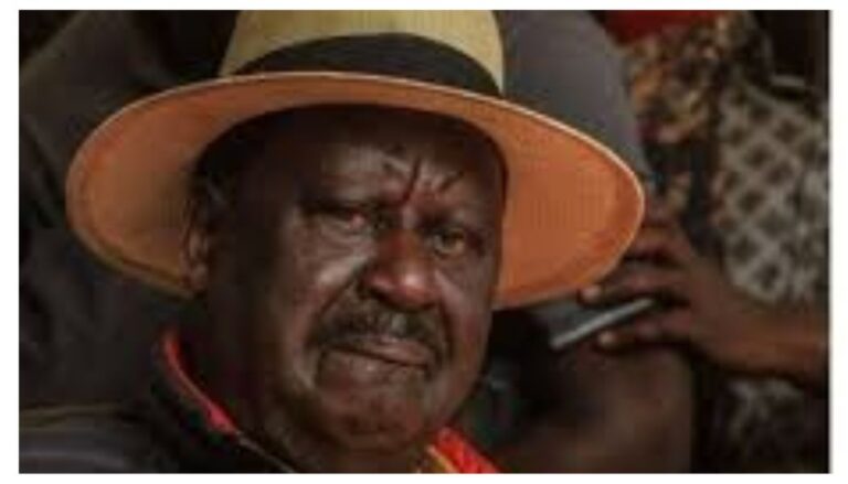 Raila Odinga was buried with his political capital; David Ndii